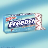 Freedent Spearmint Gum - 12 Each